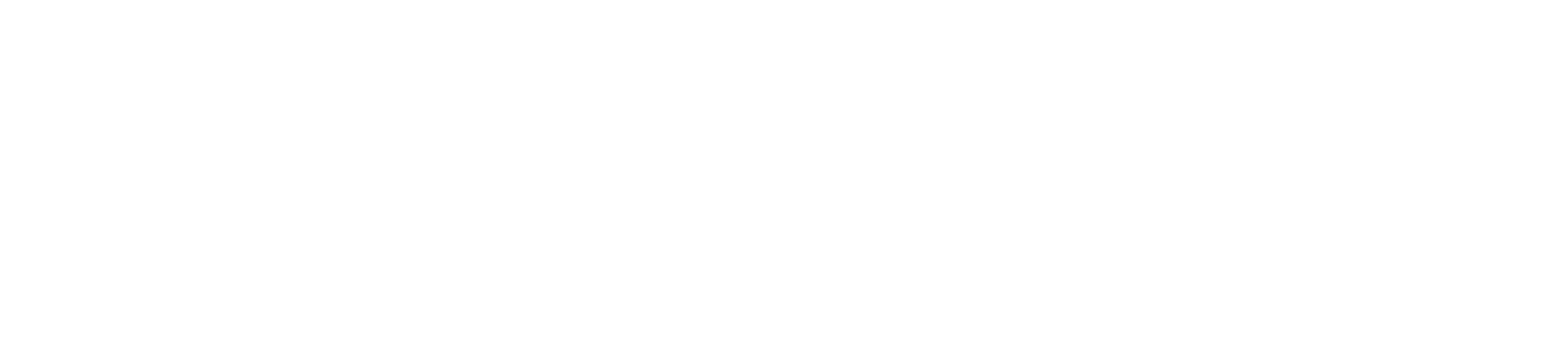 Noven Projects