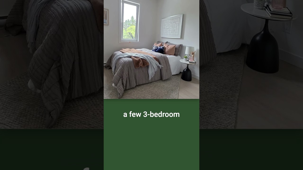 Silver Leaf Developments rental campaign video